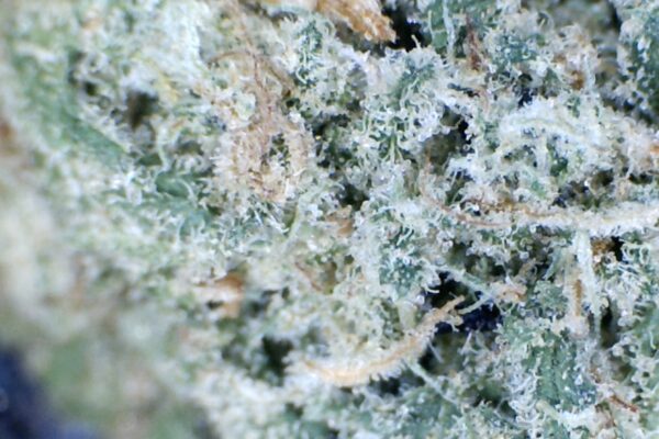 Blue Dream by: Binliu Farms    1/3 oz - Image 3